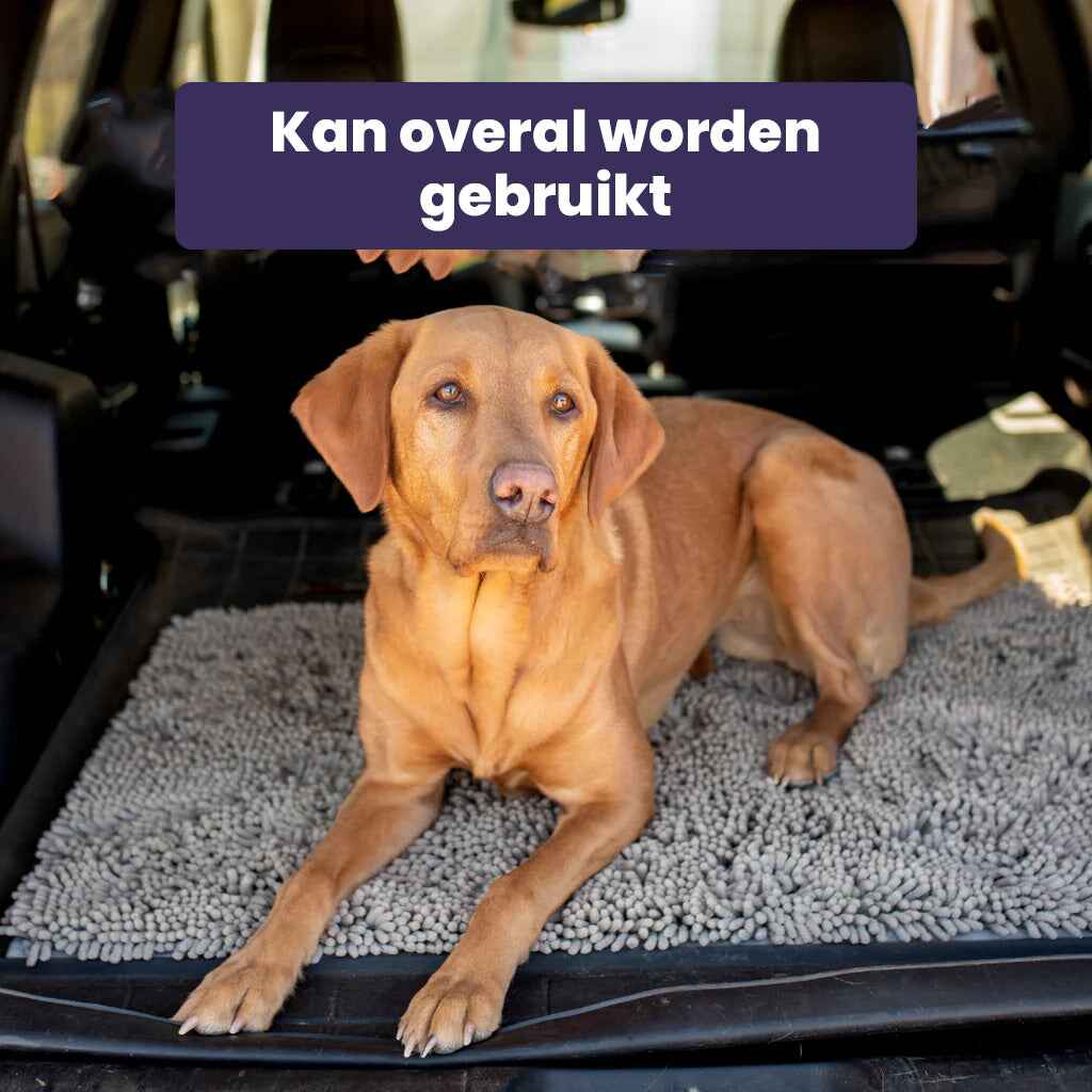 Hond Pootmat 60×90 cm Microvezel – Ultra Absorberend Antislip Grijs - Hebbr