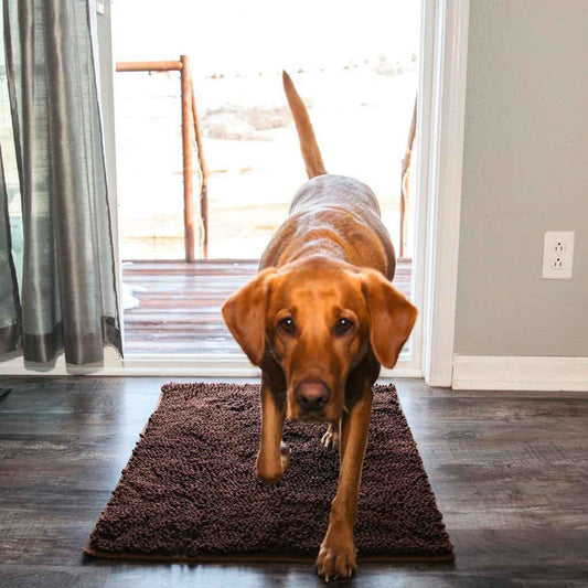 Hond Pootmat 60×90 cm Microvezel – Ultra Absorberend Antislip Grijs - Hebbr