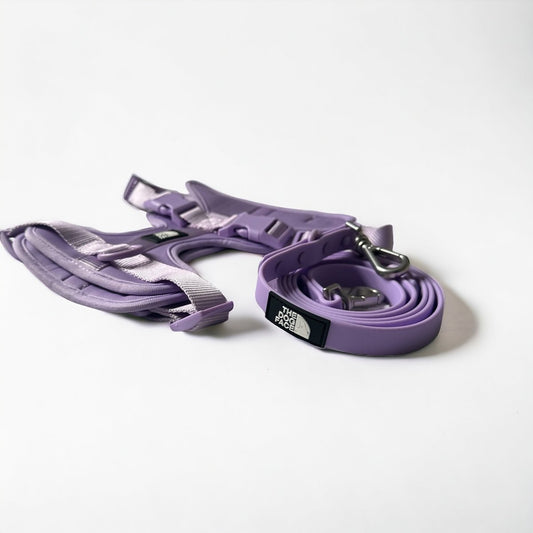 Hond PVC Lijn 152×2 cm – Waterdicht Lavendel met Draaibare Clip - Hebbr