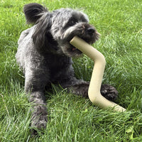 Hond Speeltak 21×3 cm Natuurlijk Rubber – Veilig en Duurzaam Roze - Hebbr