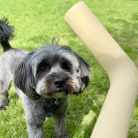 Hond Speeltak 21×3 cm Natuurlijk Rubber – Veilig en Duurzaam Roze - Hebbr