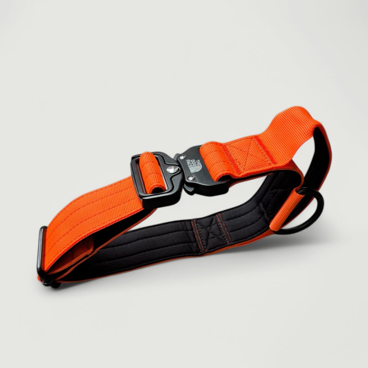 Hond Tactische Halsband 5 cm Nylon – Sterk en Comfortabel Feloranje - Hebbr