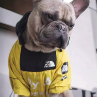Hond Windbreaker Jack Geel – Waterdicht met Mesh Voering - Hebbr