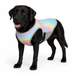 Honden Koelvest | Ademend, Reflecterend, Watergeactiveerd - Hebbr