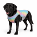 Honden Koelvest | Ademend, Reflecterend, Watergeactiveerd - Hebbr