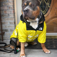 Honden Regenjas M - L - XL Polyester – Waterdicht voor Franse Bulldog en Chihuahua - Hebbr