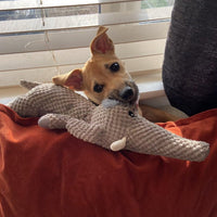 Honden Speeltje Extra Sterk – Duurzaam en Agressief Kauwen Bestendig - Hebbr