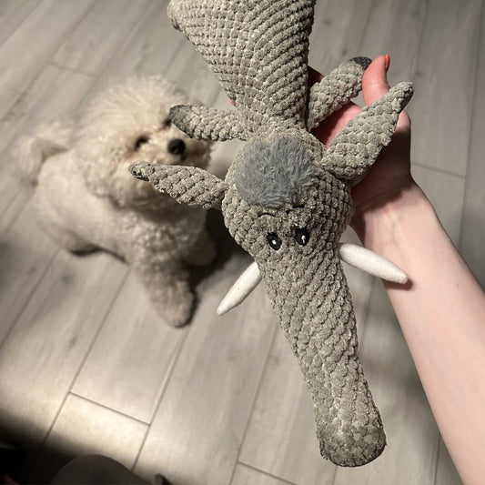 Honden Speeltje Extra Sterk – Duurzaam en Agressief Kauwen Bestendig - Hebbr