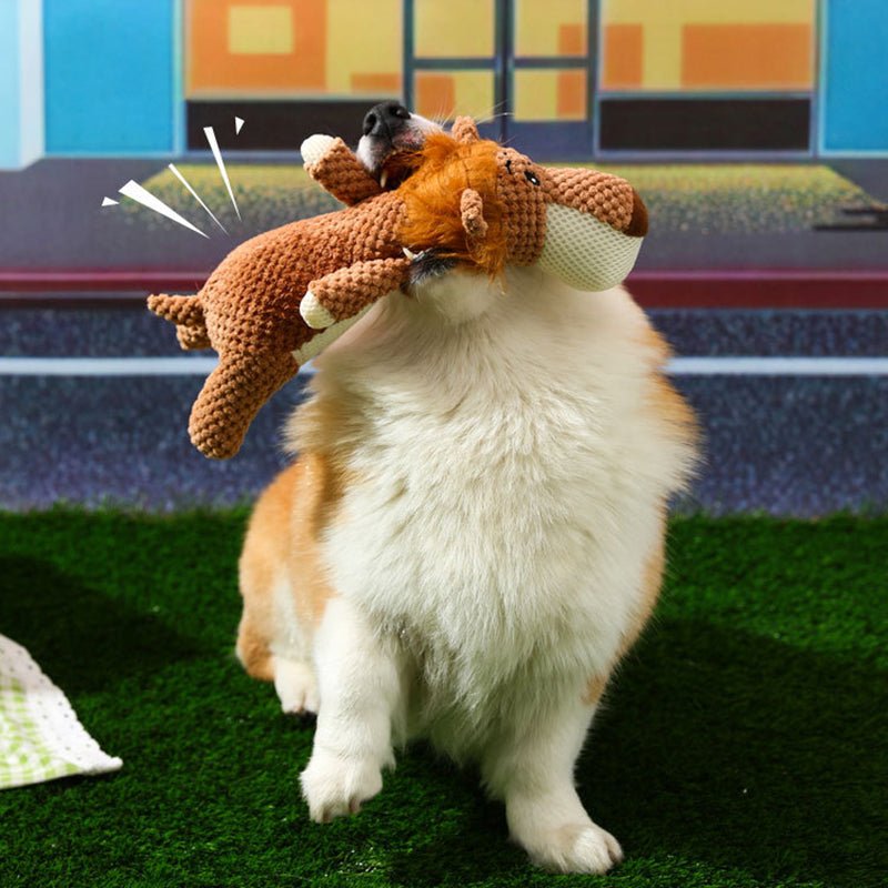 Honden Speeltje Extra Sterk – Duurzaam en Agressief Kauwen Bestendig - Hebbr