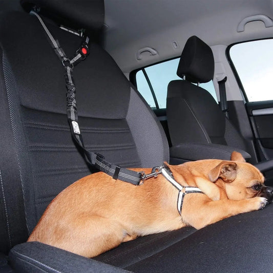 Honden Veiligheidsgordel Verstelbaar – Nylon Elastische Buffer Zwart - Hebbr