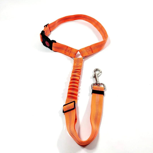 Honden Veiligheidsgordel Verstelbaar – Nylon Elastische Buffer Zwart - Hebbr