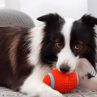 Honden zomerbal - Duurzaam kauwspeelgoed voor actieve honden, zwembaar en gemakkelijk schoon te maken - Hebbr