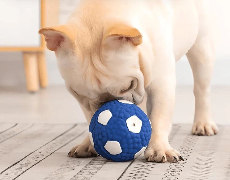 Honden zomerbal - Duurzaam kauwspeelgoed voor actieve honden, zwembaar en gemakkelijk schoon te maken - Hebbr