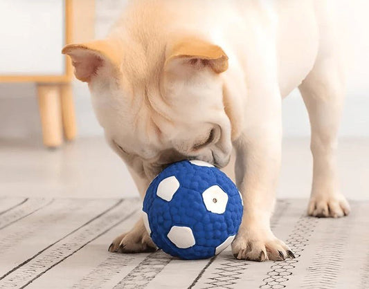 Honden zomerbal - Duurzaam kauwspeelgoed voor actieve honden, zwembaar en gemakkelijk schoon te maken - Hebbr