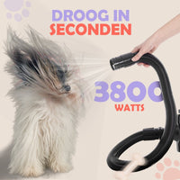Hondenfohn 3800W – Krachtige en Stille Waterblazer voor Vachtverzorging - Hebbr