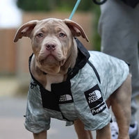 Hondengezichtsjack M Grijs – Waterdicht Windbreaker voor Huisdieren - Hebbr