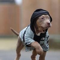 Hondengezichtsjack M Grijs – Waterdicht Windbreaker voor Huisdieren - Hebbr