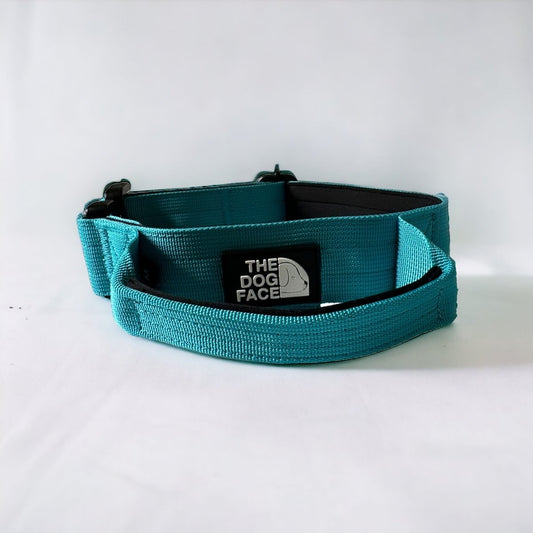 Hondenhalsband 50 cm Nylon – Sterk en Comfortabel Aquamarijnblauw - Hebbr