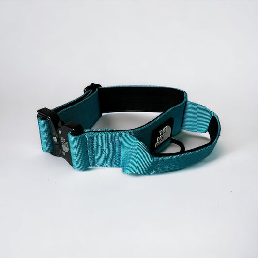 Hondenhalsband 50 cm Nylon – Sterk en Comfortabel Aquamarijnblauw - Hebbr