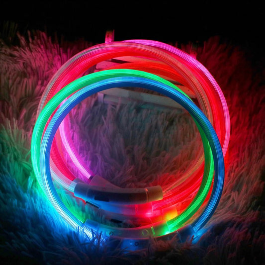 Hondenhalsband LED 50 cm – Oplaadbaar Waterdicht Verstelbaar Veiligheid - Hebbr
