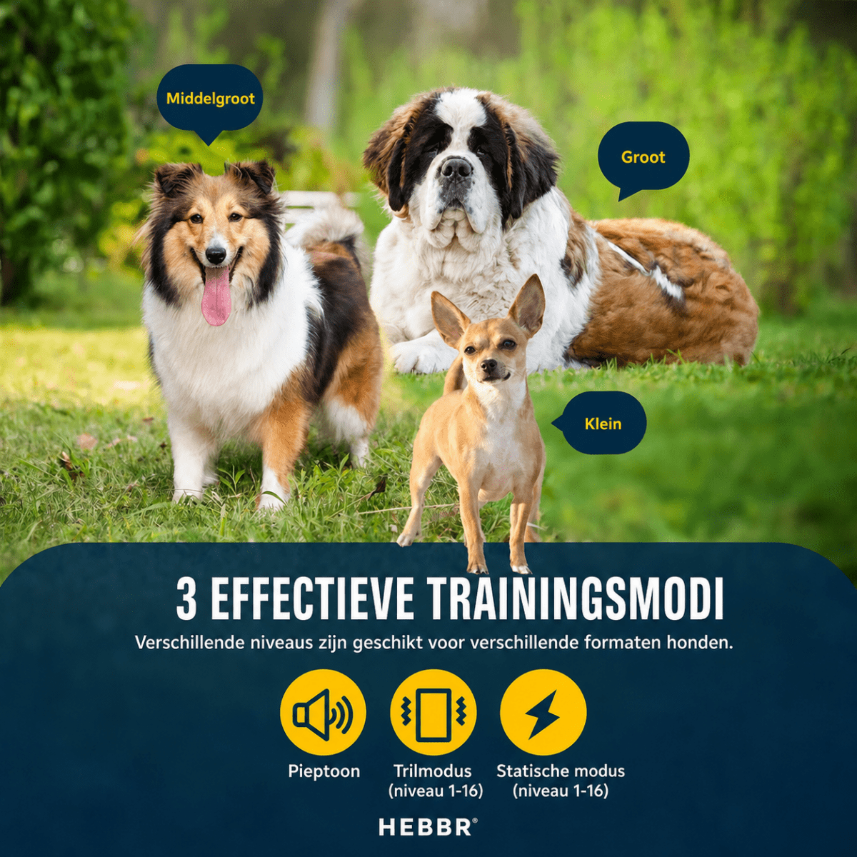 Hondenhalsband | Verstelbaar, Afstandsbediening, 700m Bereik, Voor Training - Hebbr