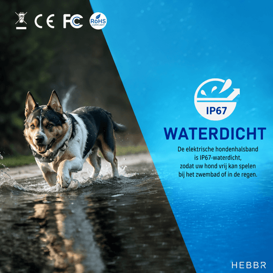Hondenhalsband | Verstelbaar, Afstandsbediening, 700m Bereik, Voor Training - Hebbr