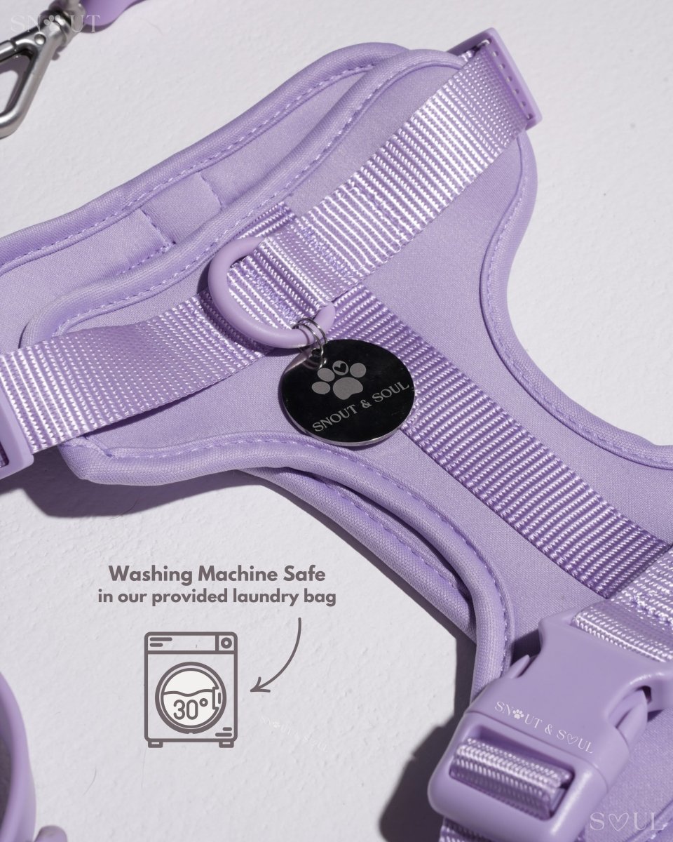 Hondenharnas XXL – All - in - One Tuigje voor Wandelen en Spelen Kleurvarianten - Hebbr