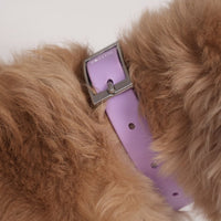 Hondenharnas XXL – All - in - One Tuigje voor Wandelen en Spelen Kleurvarianten - Hebbr