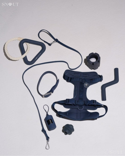 Hondenharnas XXL – All - in - One Tuigje voor Wandelen en Spelen Kleurvarianten - Hebbr