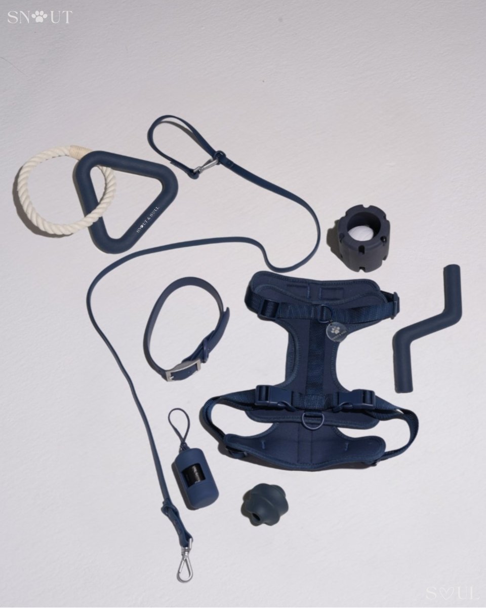 Hondenharnas XXL – All - in - One Tuigje voor Wandelen en Spelen Kleurvarianten - Hebbr