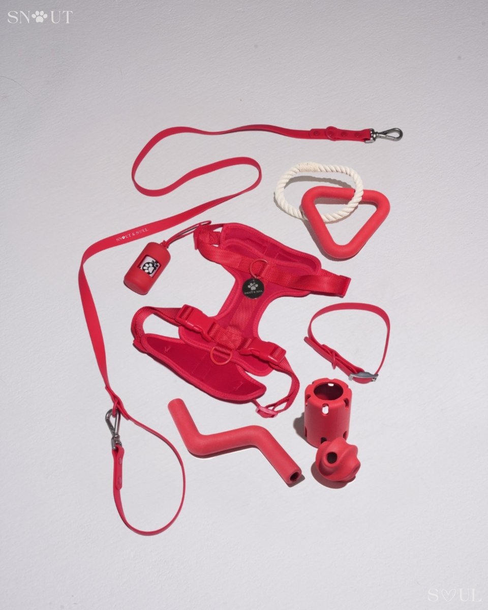 Hondenharnas XXL – All - in - One Tuigje voor Wandelen en Spelen Kleurvarianten - Hebbr