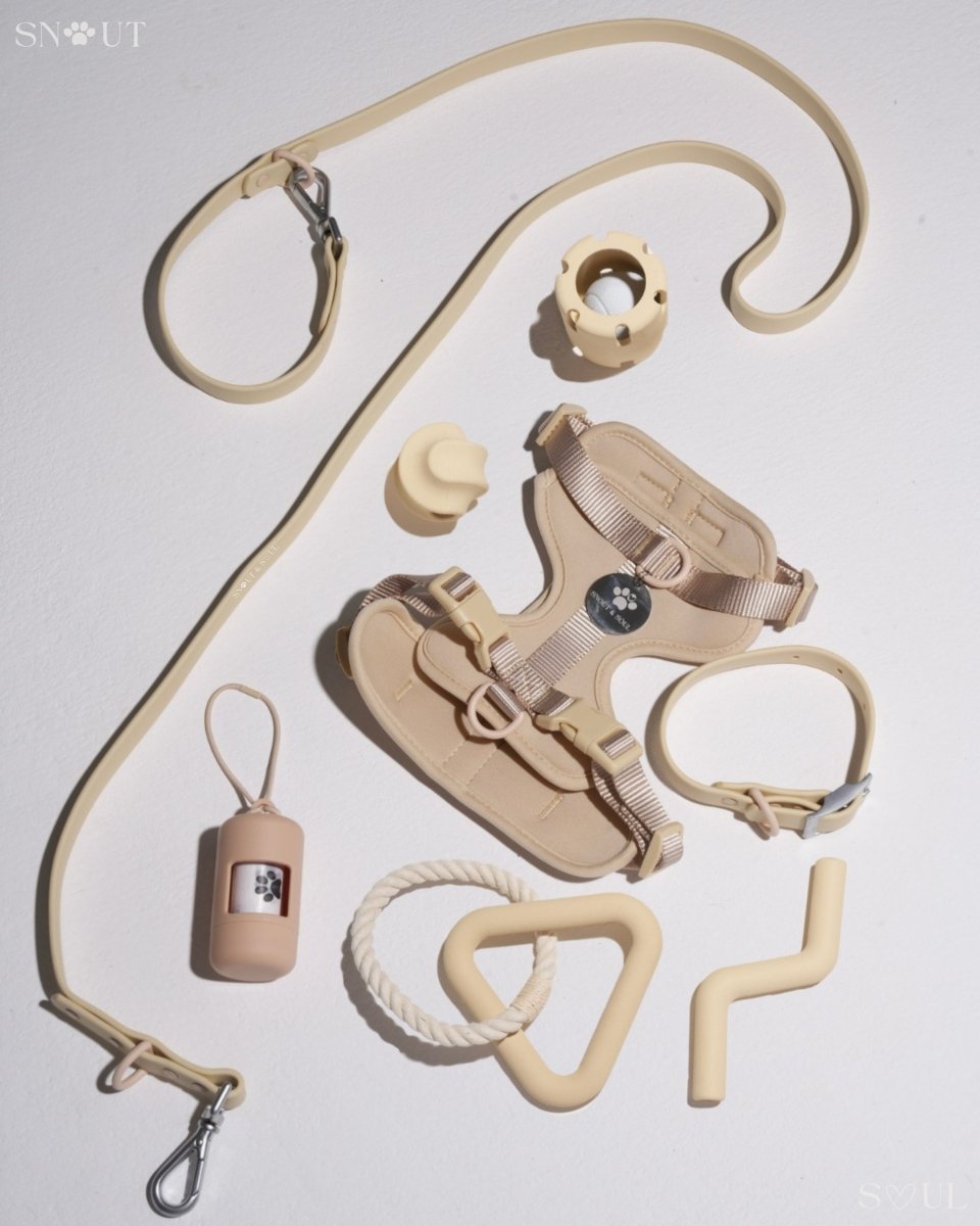 Hondenharnas XXL – All - in - One Tuigje voor Wandelen en Spelen Kleurvarianten - Hebbr