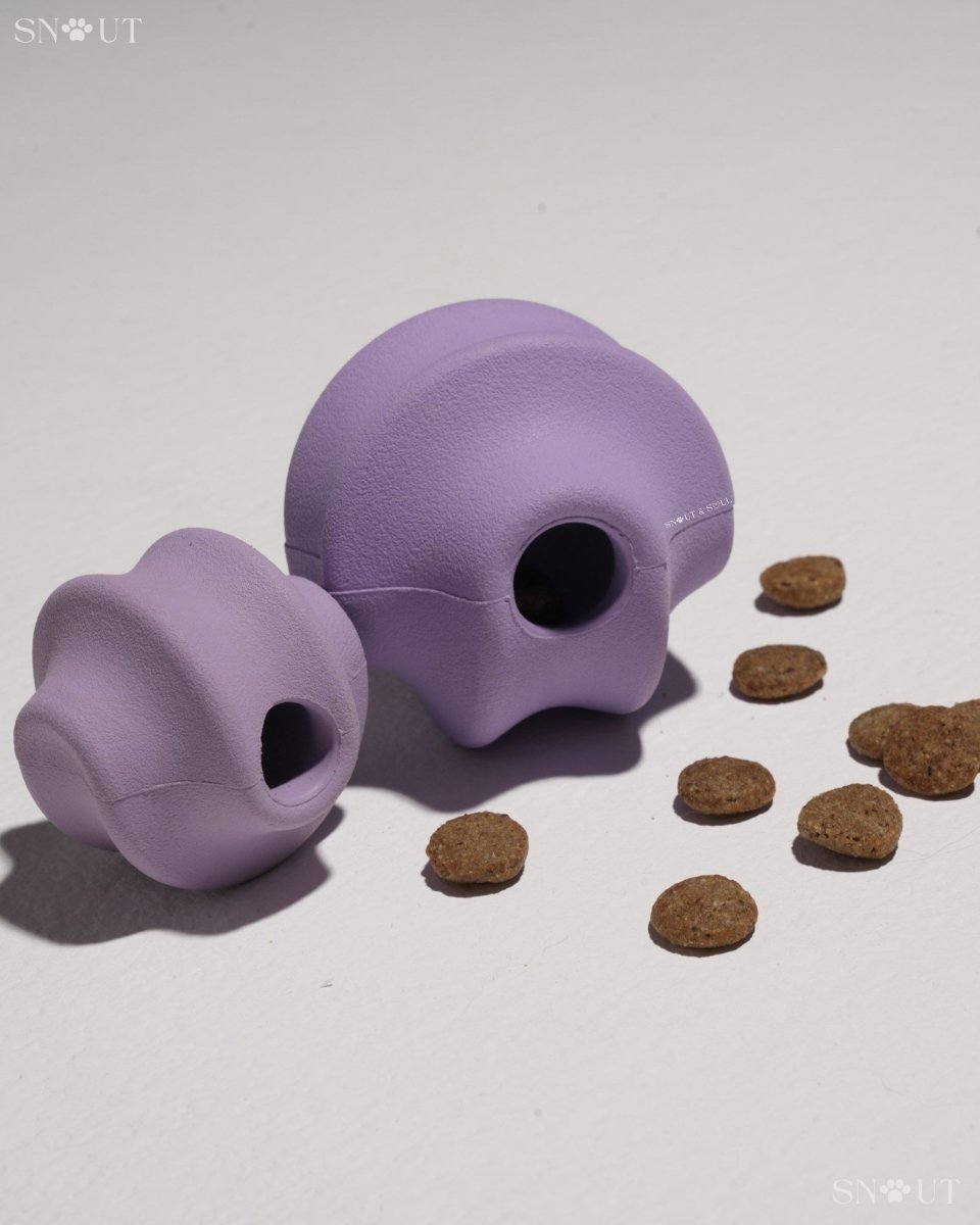 Hondenharnas XXL – All - in - One Tuigje voor Wandelen en Spelen Kleurvarianten - Hebbr