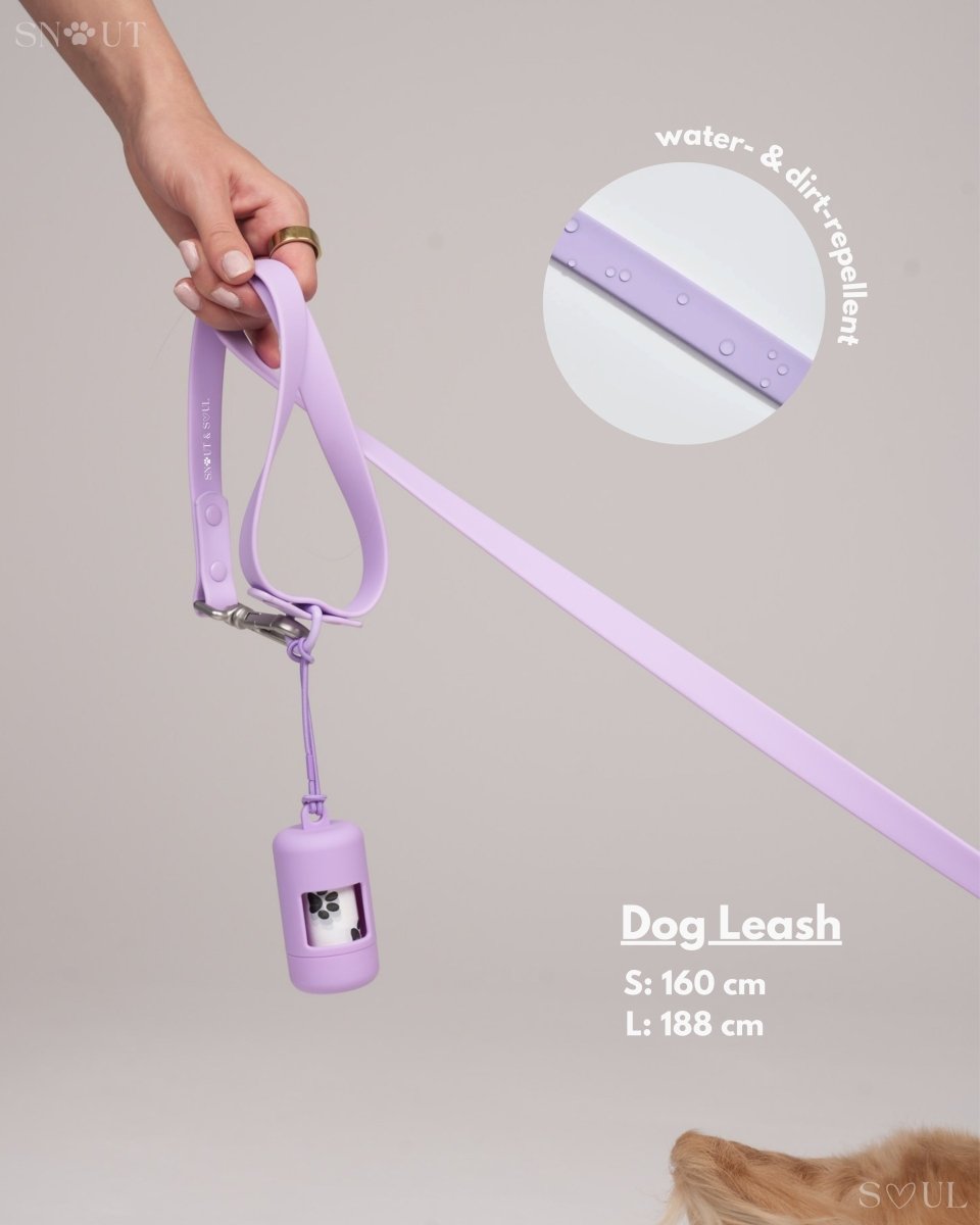 Hondenharnas XXL – All - in - One Tuigje voor Wandelen en Spelen Kleurvarianten - Hebbr