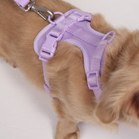 Hondenharnas XXL – All - in - One Tuigje voor Wandelen en Spelen Kleurvarianten - Hebbr