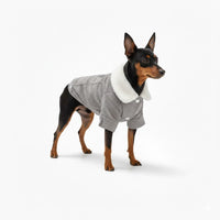 Hondenjas Fleece M – Warm en Comfortabel voor Kleine Honden Grijs - Hebbr