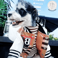 Hondenjas voor Kleine Honden – Luxe Winterhondenjas met Comfortabele Pasvorm - Hebbr