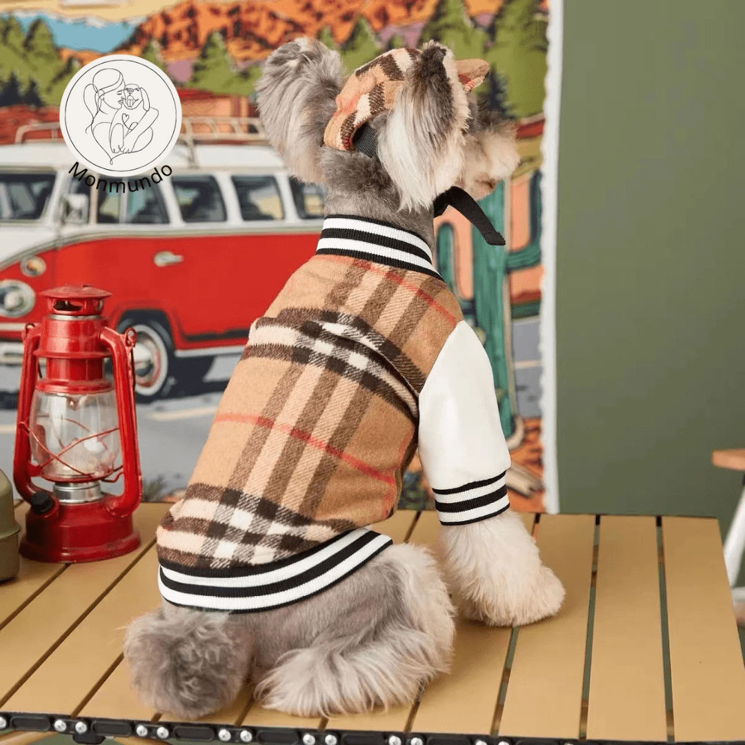 Hondenjas voor Kleine Honden – Luxe Winterhondenjas met Comfortabele Pasvorm - Hebbr