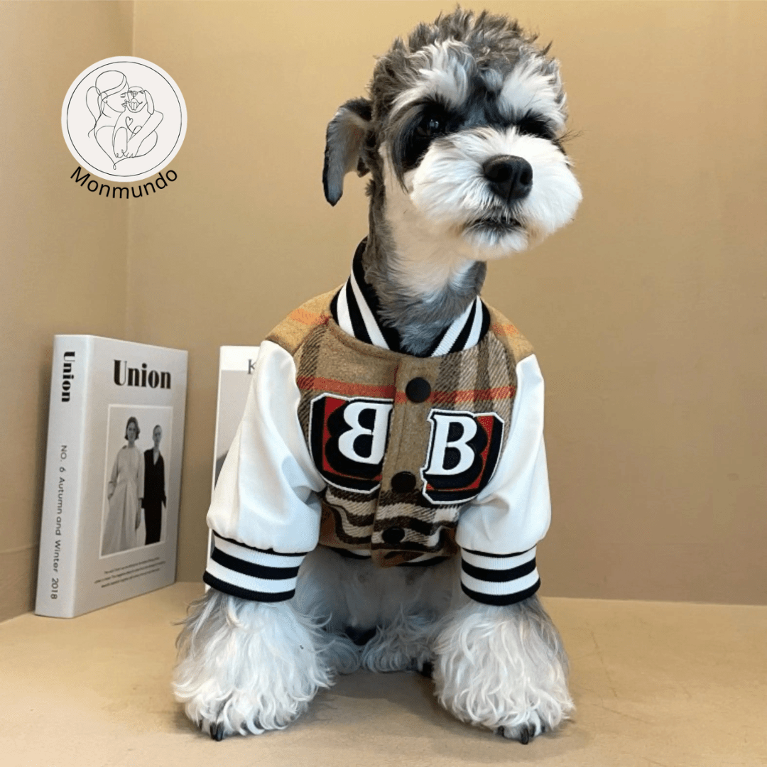 Hondenjas voor Kleine Honden – Luxe Winterhondenjas met Comfortabele Pasvorm - Hebbr