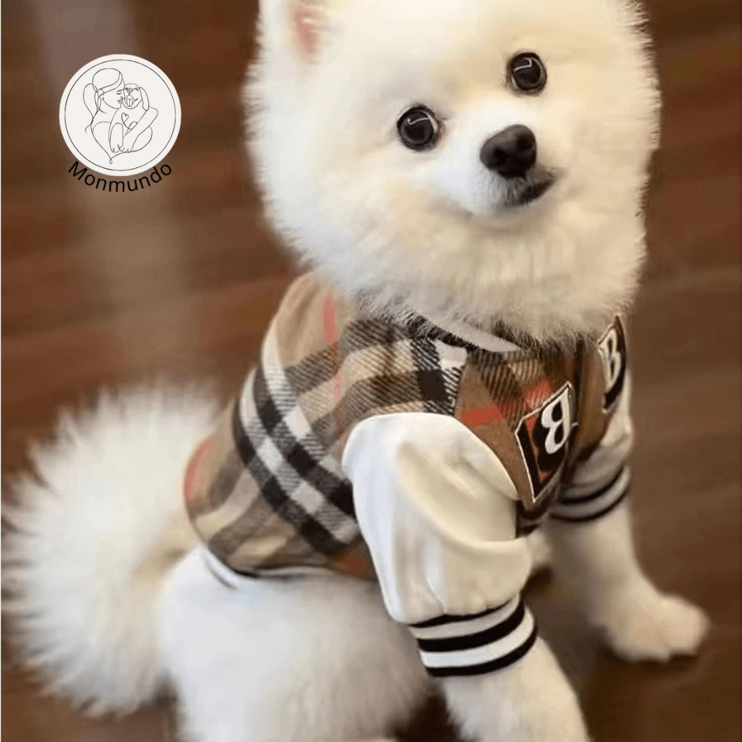 Hondenjas voor Kleine Honden – Luxe Winterhondenjas met Comfortabele Pasvorm - Hebbr