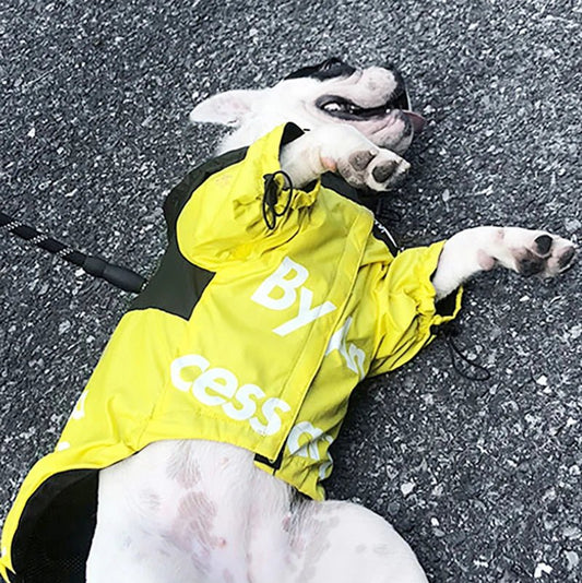 Hondenjas Waterdicht met Capuchon – Reflecterend voor Kleine tot Grote Honden - Hebbr