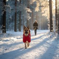 Hondenjas Waterdicht – Warm en Comfortabel voor Herfst en Winter - Hebbr