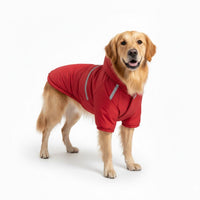 Hondenjas Waterdicht – Warm en Comfortabel voor Herfst en Winter - Hebbr