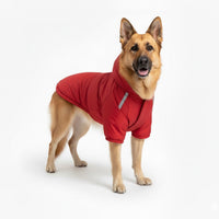 Hondenjas Waterdicht – Warm en Comfortabel voor Herfst en Winter - Hebbr