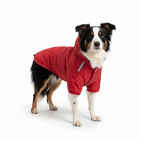 Hondenjas Waterdicht – Warm en Comfortabel voor Herfst en Winter - Hebbr