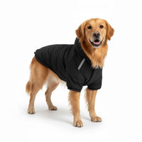Hondenjas Waterdicht – Warm en Comfortabel voor Herfst en Winter - Hebbr