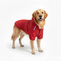 Hondenjas Waterdicht – Warm en Comfortabel voor Herfst en Winter - Hebbr