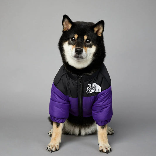 Hondenjas Winter Donsjack 25 - 67 cm – Warm en Comfortabel voor Kleine Honden - Hebbr