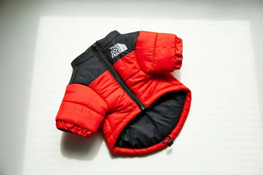 Hondenjas Winter Donsjack 25 - 67 cm – Warm en Comfortabel voor Kleine Honden - Hebbr