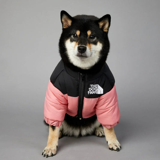 Hondenjas Winter Donsjack 25 - 67 cm – Warm en Comfortabel voor Kleine Honden - Hebbr